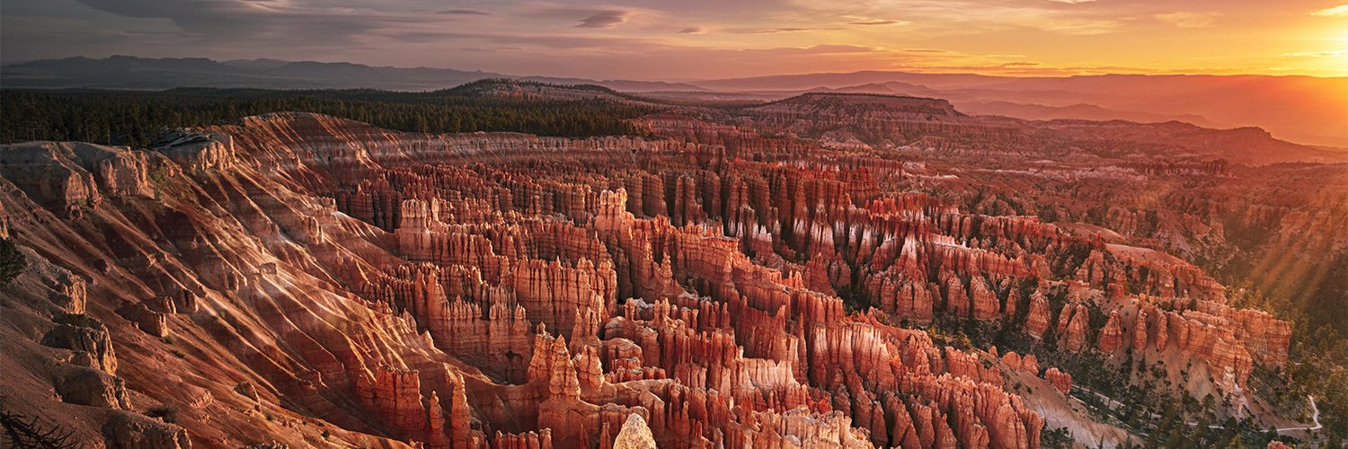 Chris Stewart banner