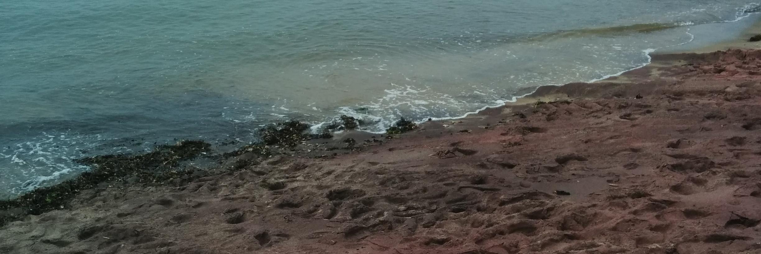 daalberry's profile banner image