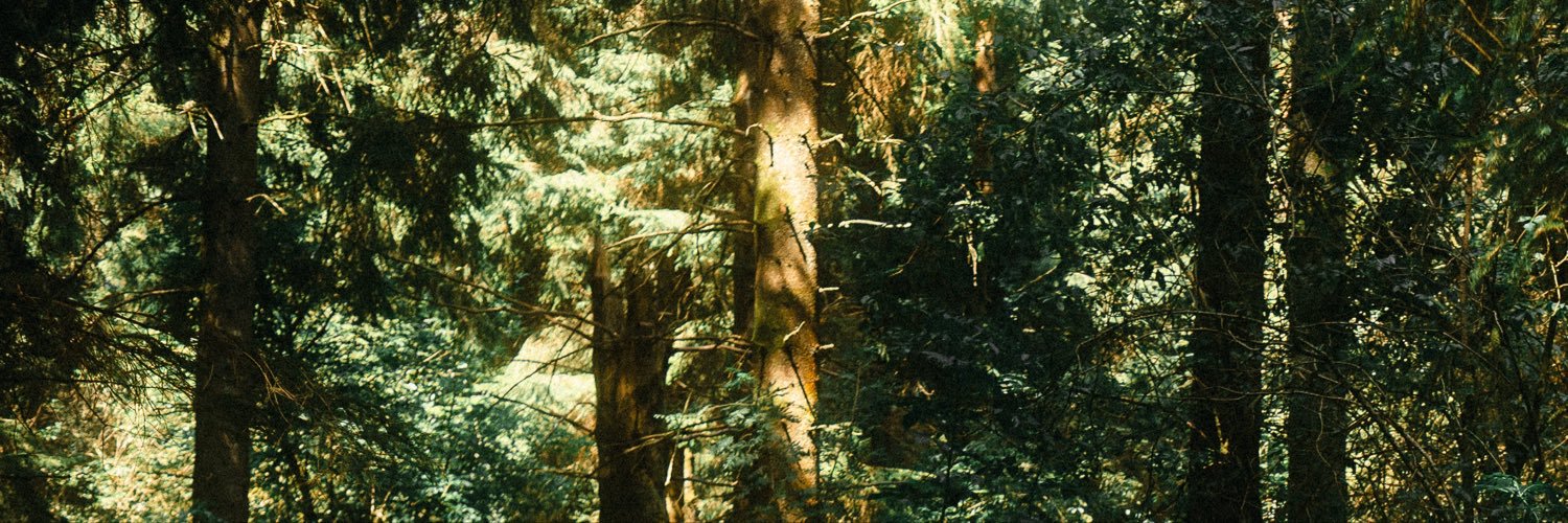 GabrielleAplin's profile banner image
