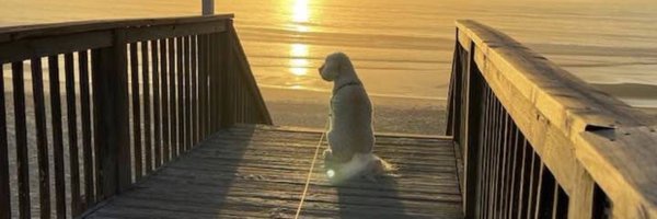 KerriHays Profile Banner