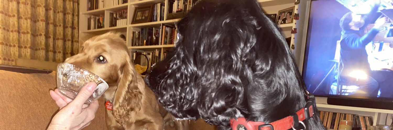 Janette Hurst 🐕 🐴 👩‍🏫 📚 🌍 banner