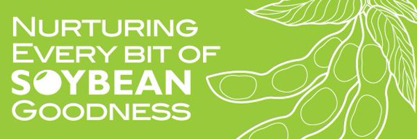 InstaProInt Profile Banner