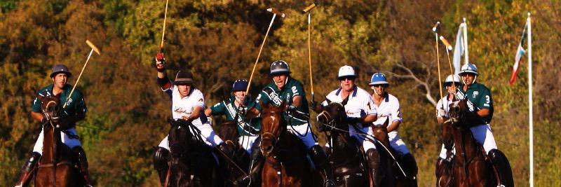 Texans_For_Polo's profile banner image