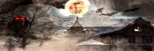 CriptoCaverna's profile banner image