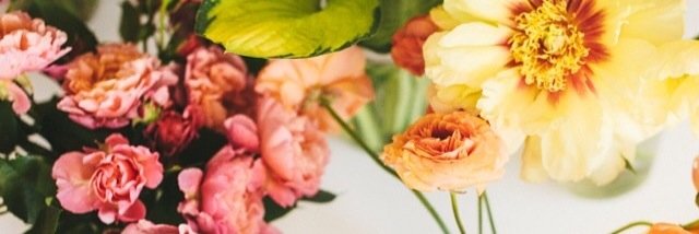 KatieCramer22's profile banner image