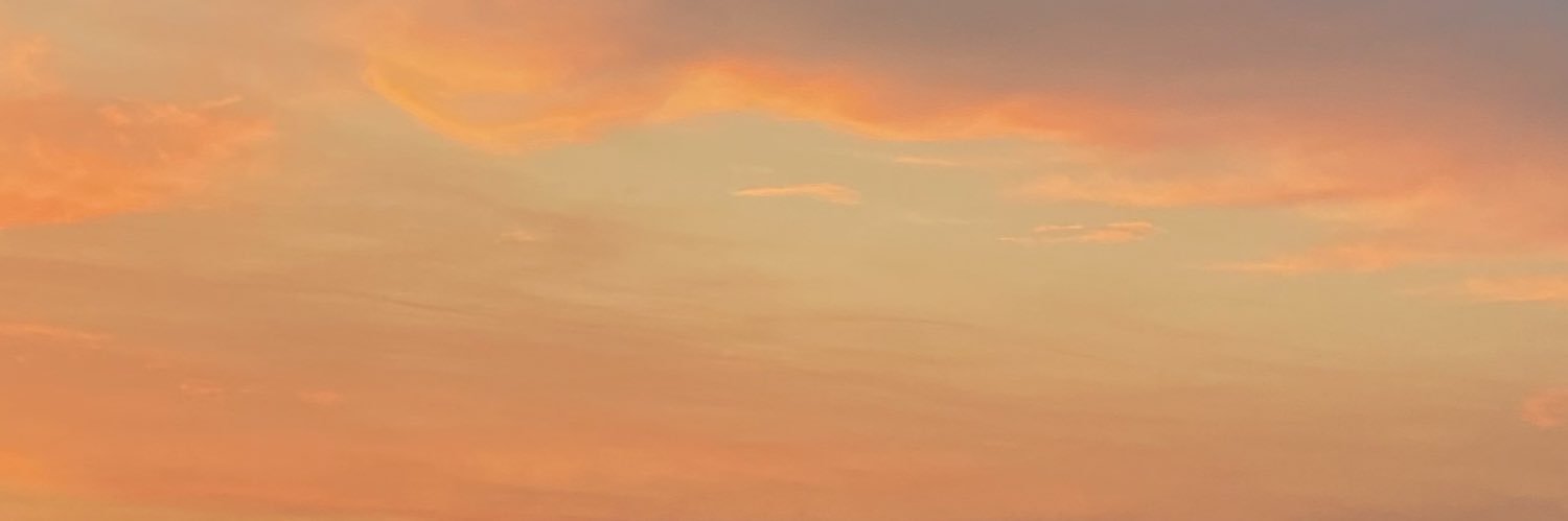 tchecaonfire's profile banner image