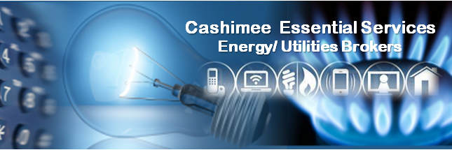cashimee2's profile banner image