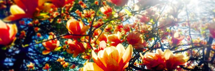 _sarahegrace's profile banner image