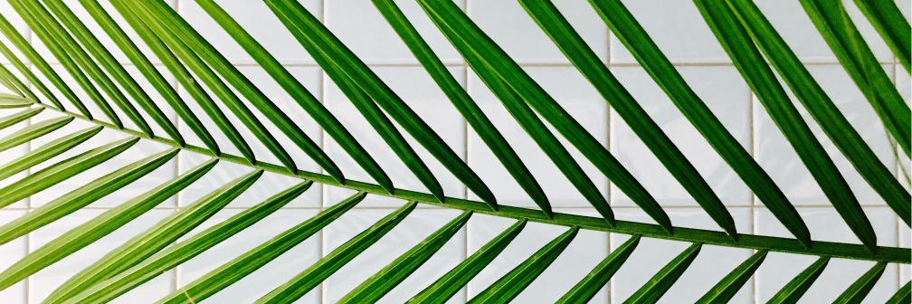 fosterprjct's profile banner image