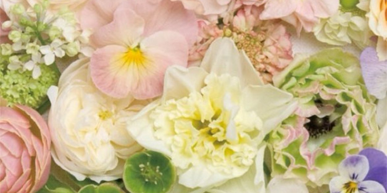 n1432o's profile banner image