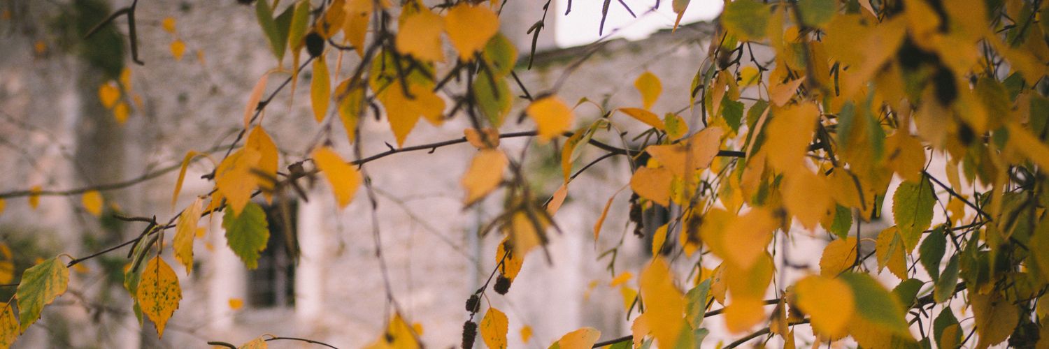 MarcoMaxime's profile banner image
