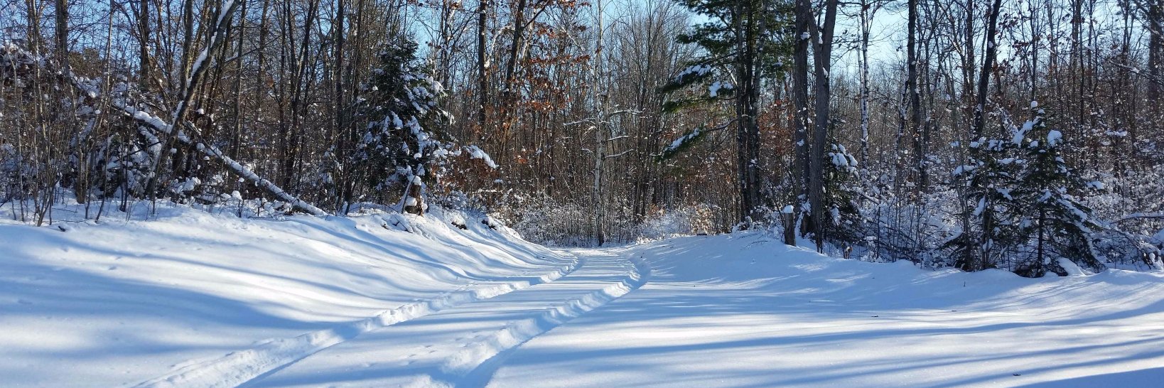 Time for Article V Convention of States 🍊 banner