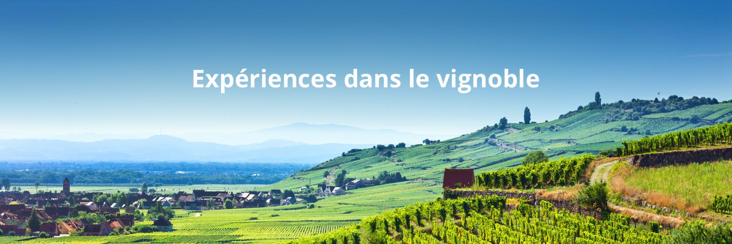 RuedesVignerons's profile banner image