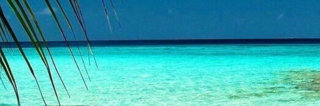 Mokidah's profile banner image