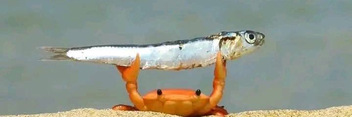 jonesyy008's profile banner image