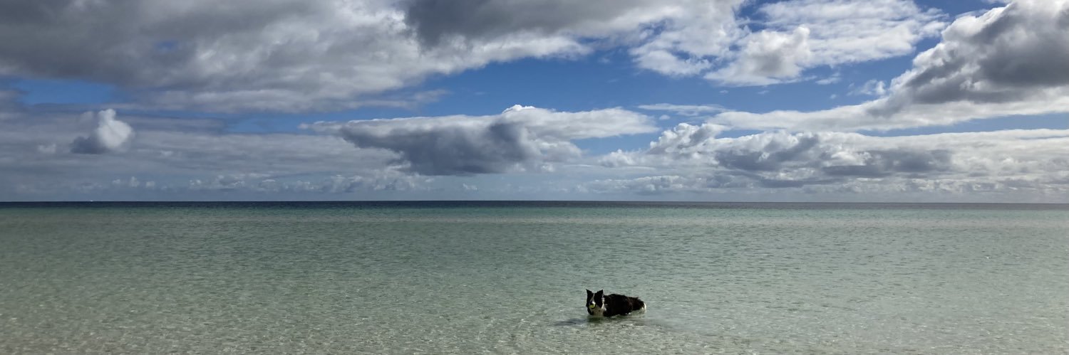 Alison Barrett banner