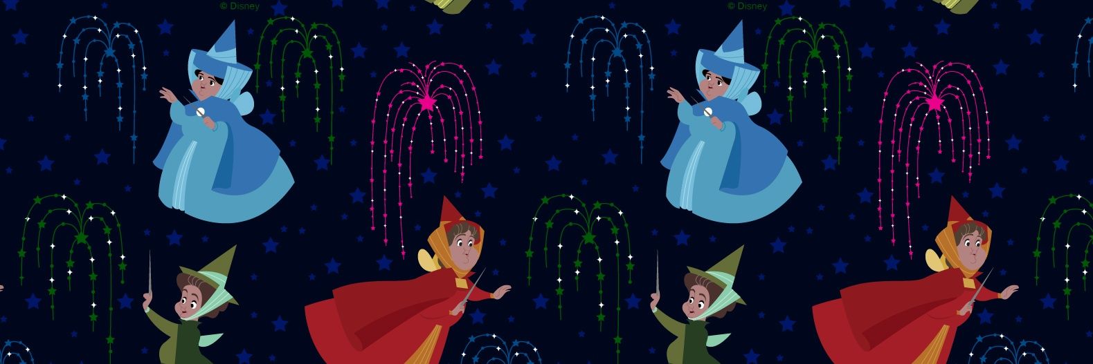 Raechel Sykes banner