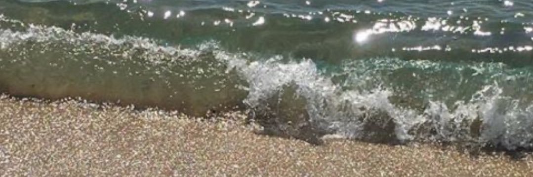 jasminevls's profile banner image