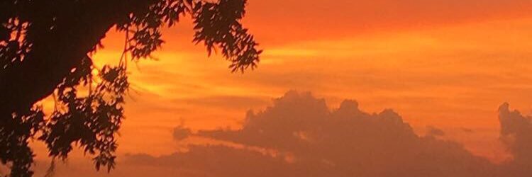 CShemper's profile banner image