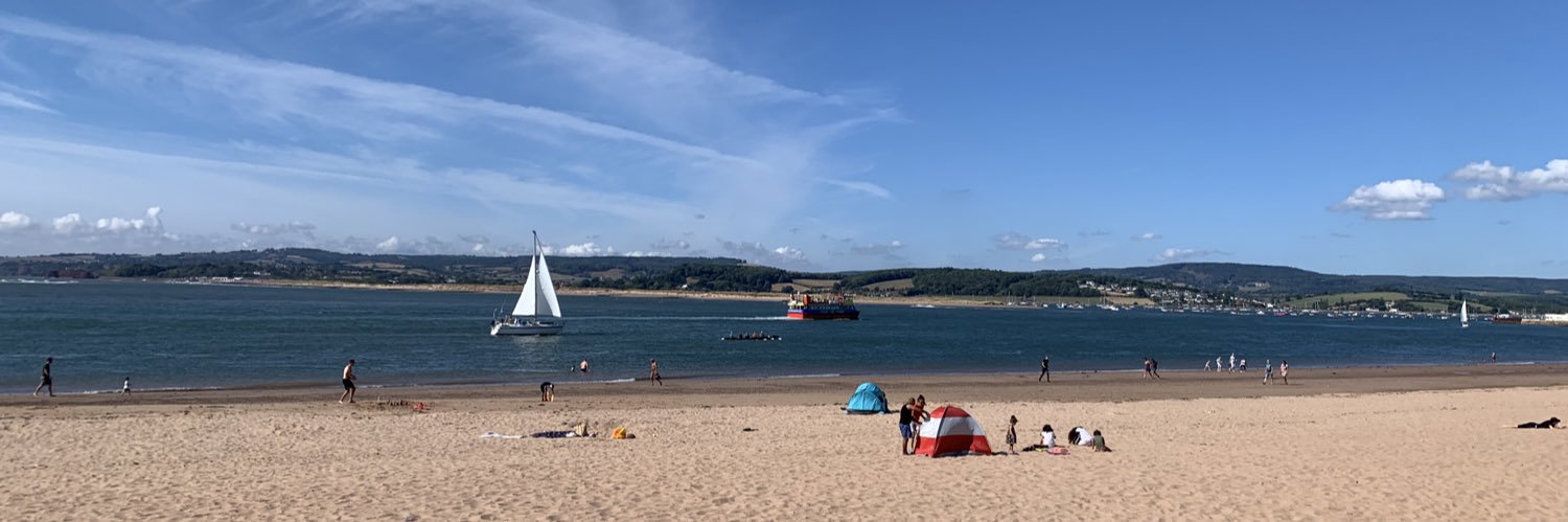 Marco Faccini FLPI banner