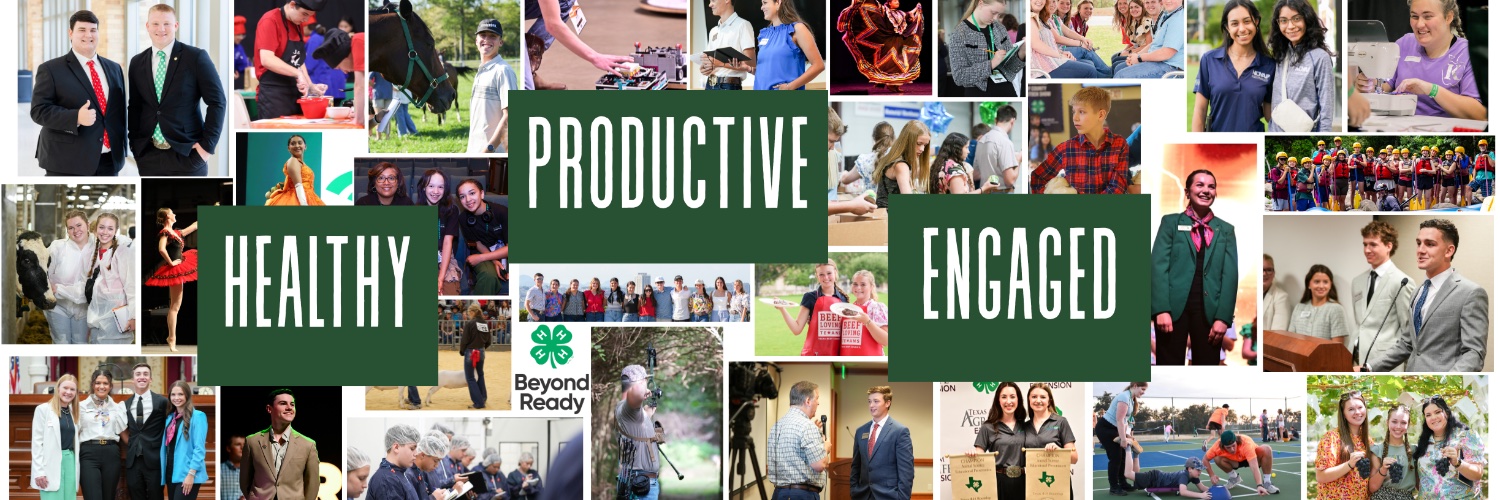 Texas 4-H banner