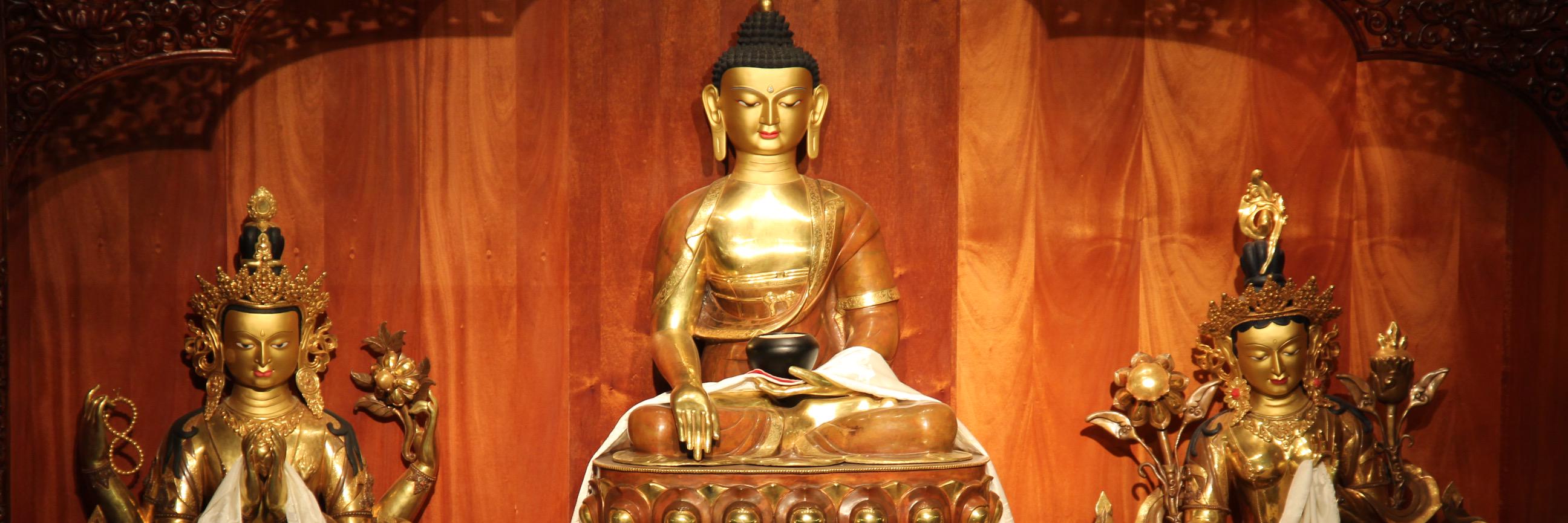 Drepung Loseling banner