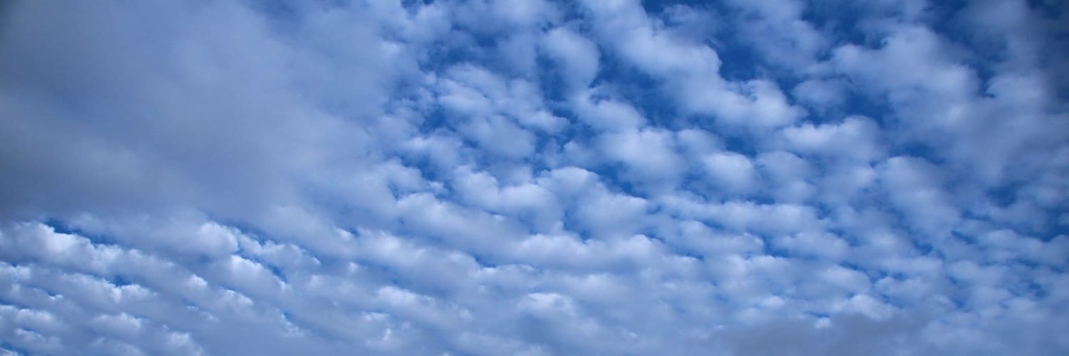 Solidarios5's profile banner image