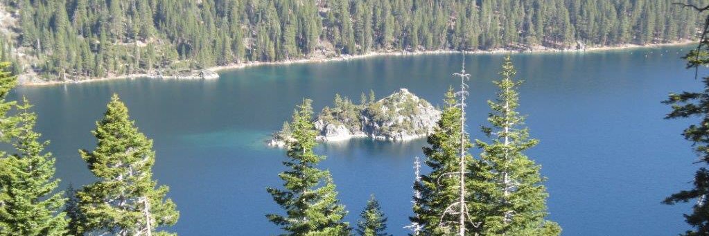 🏳️‍🌈formaturemen🇩🇪 banner