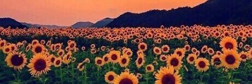 AlyPhillips1's profile banner image