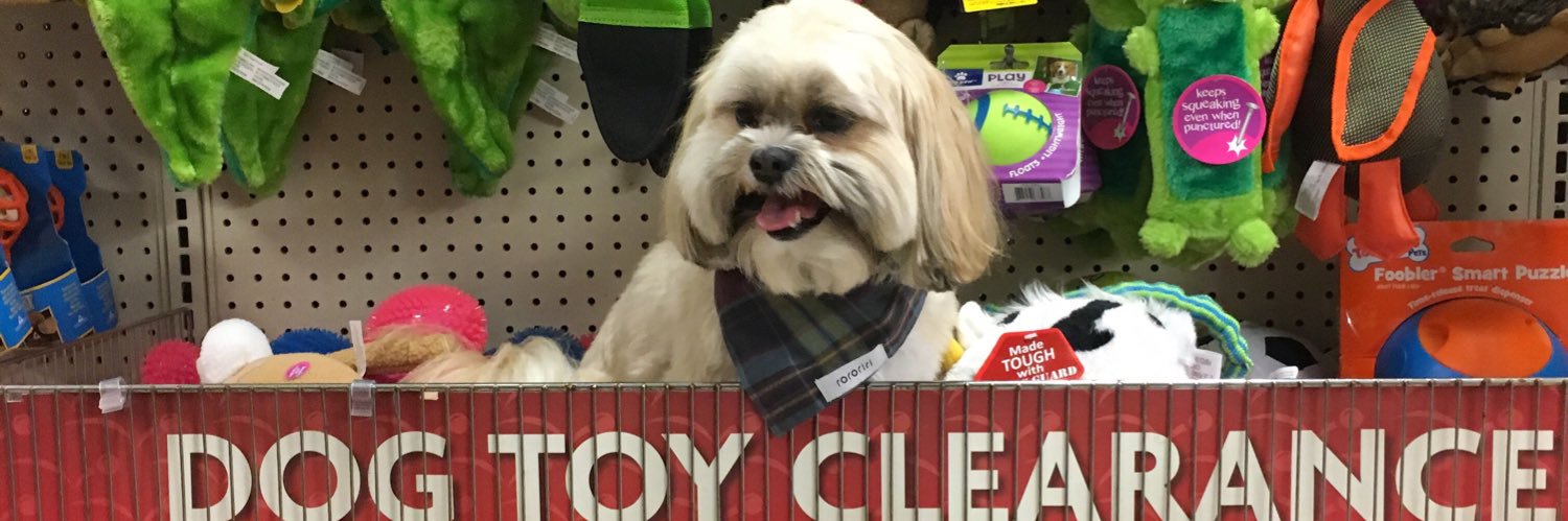 shihtzu_max's profile banner image