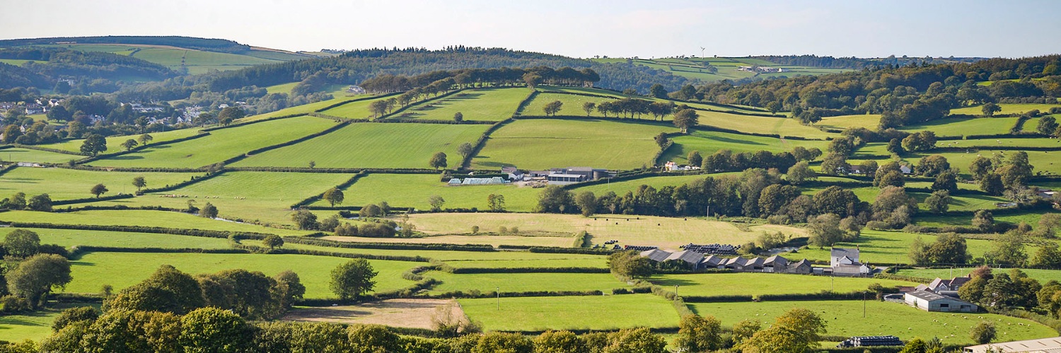 coedmorcottages's profile banner image