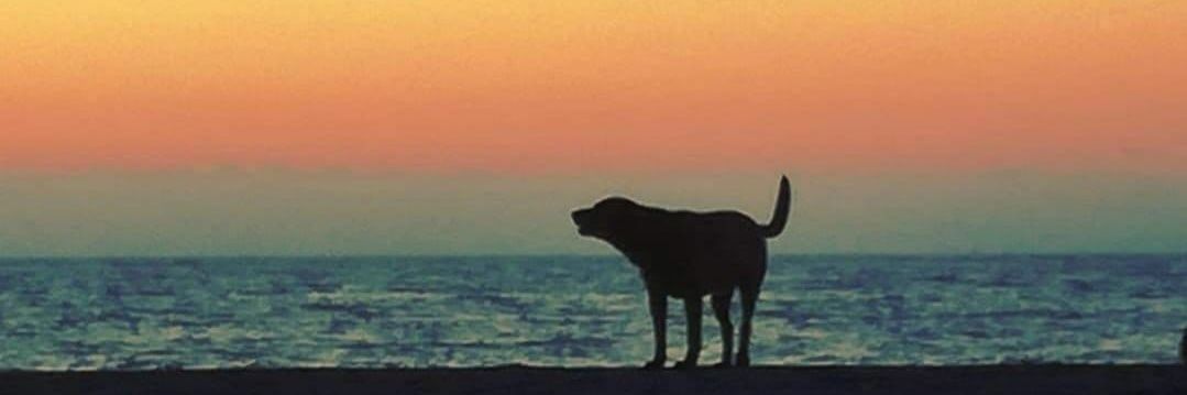 HechoConsumado's profile banner image