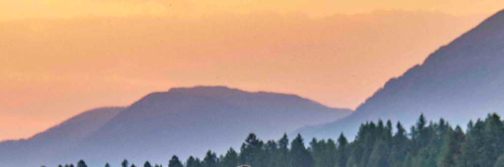 kelefornia's profile banner image