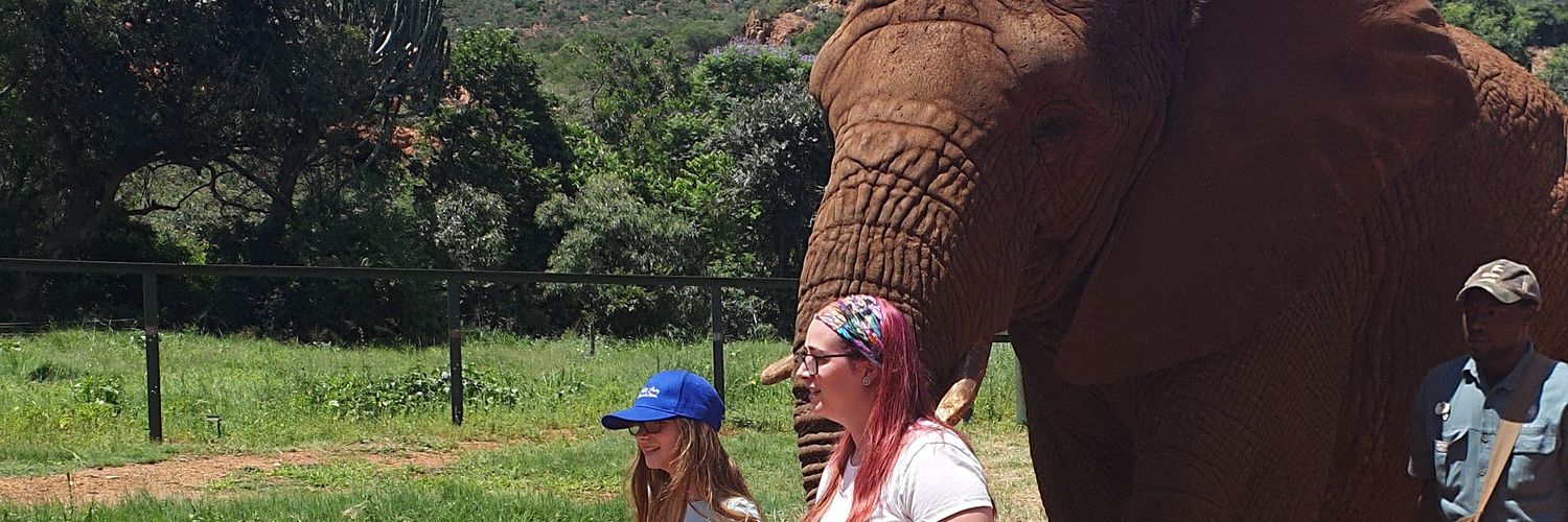 LouiseMiller87's profile banner image