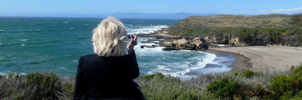 WriterSherri's profile banner image