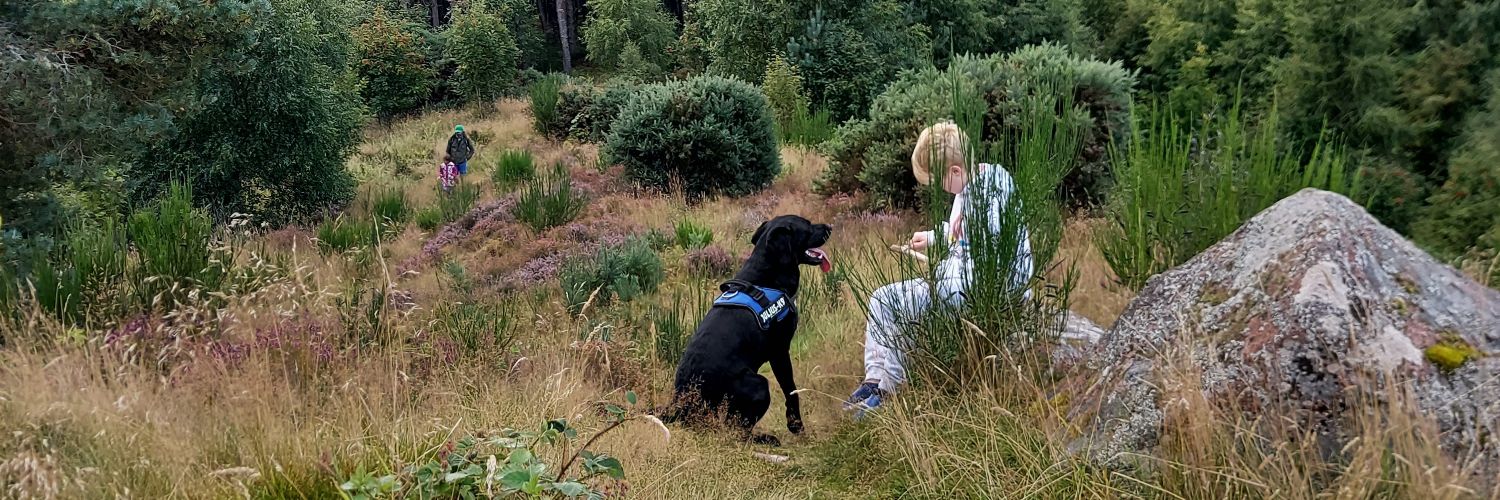 Autumn Macaulay banner