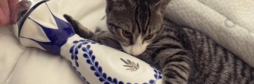 marcelaaaar's profile banner image