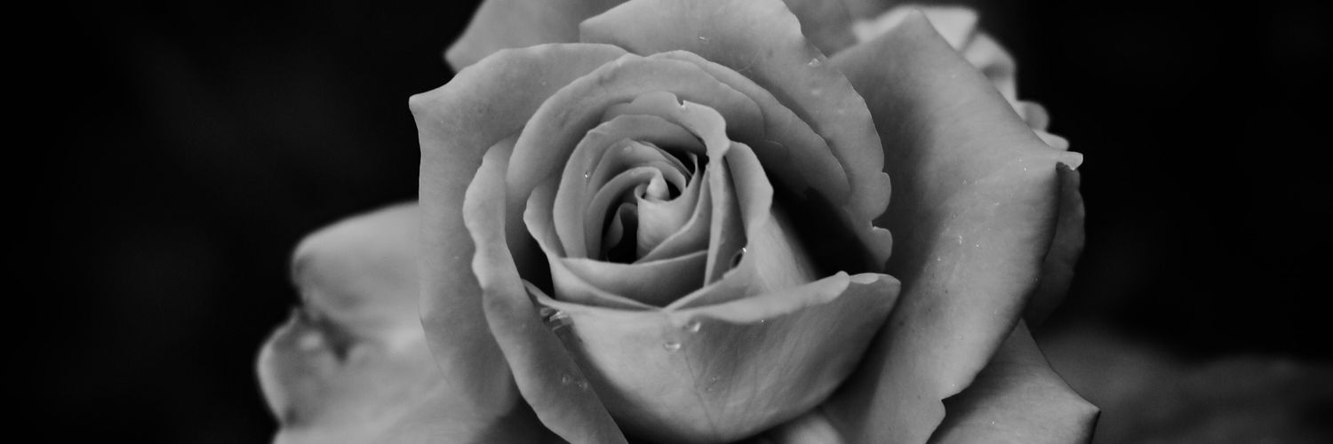 MosinyiLawrence's profile banner image