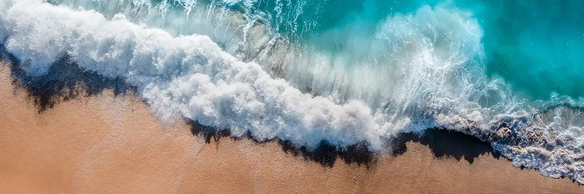 WaterWarriorSC's profile banner image