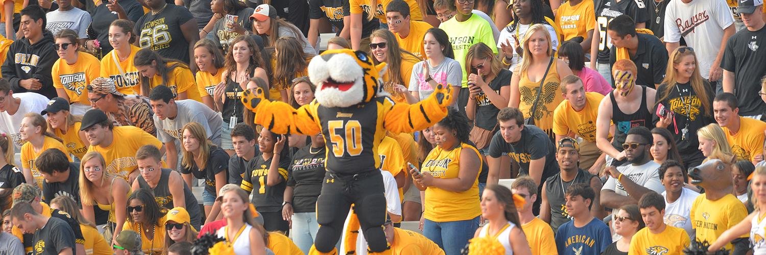 Doc the Tiger banner