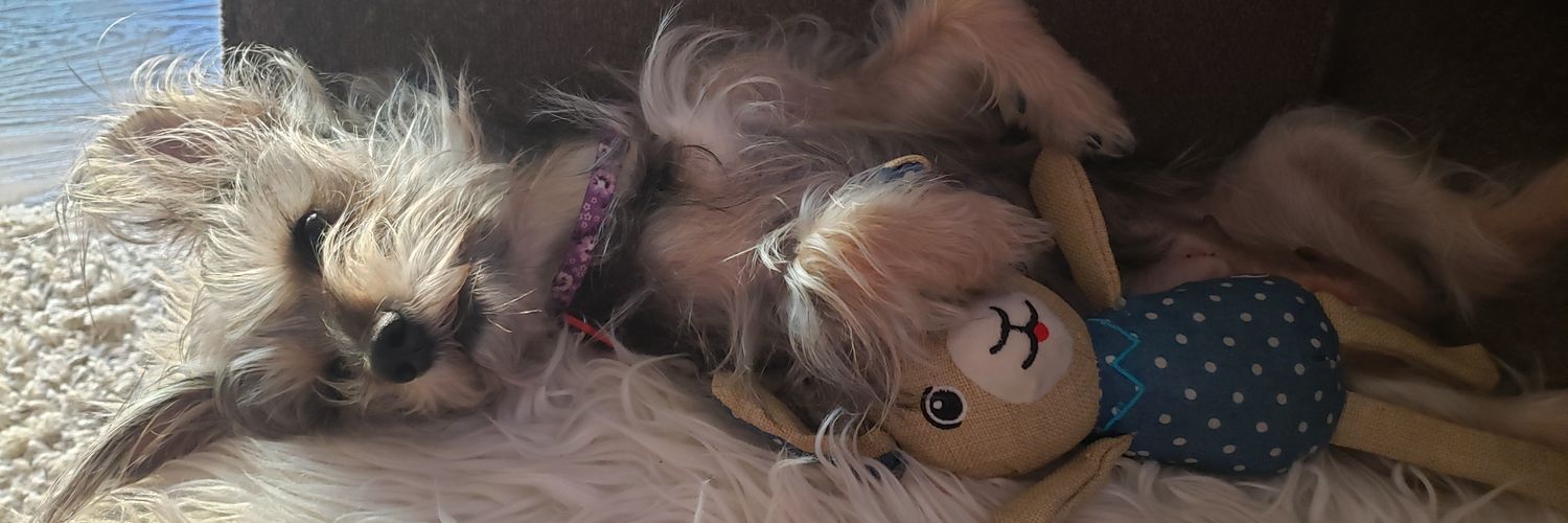 jenwheelz's profile banner image
