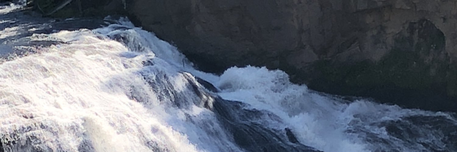 newell23's profile banner image