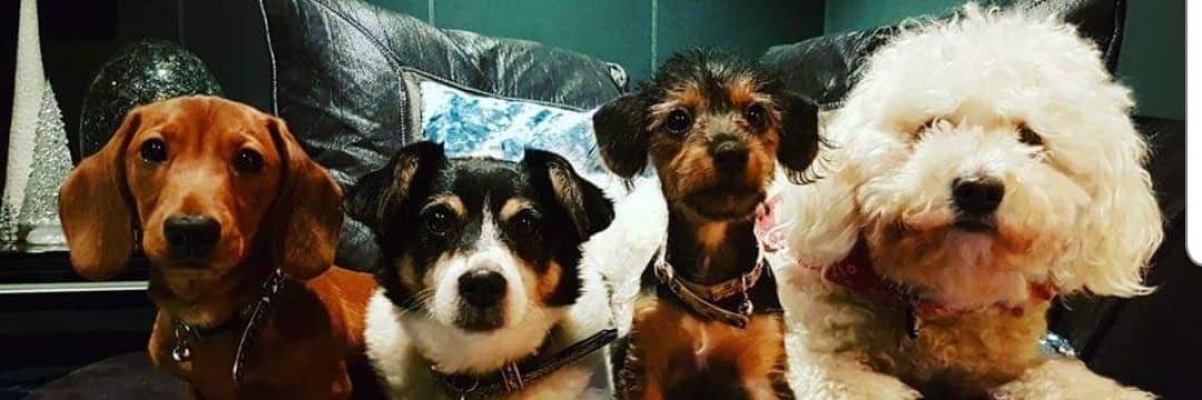 KarenWuffleluv's profile banner image