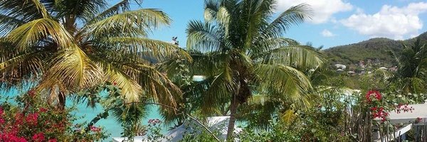 fsharp1504 Profile Banner