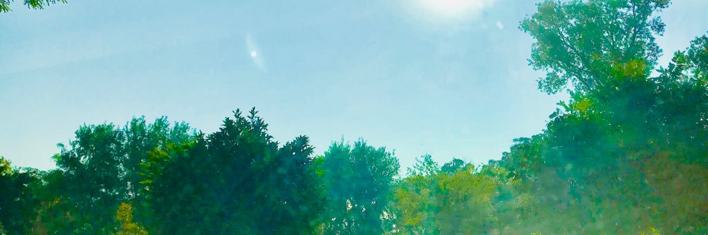iusamasaleem's profile banner image