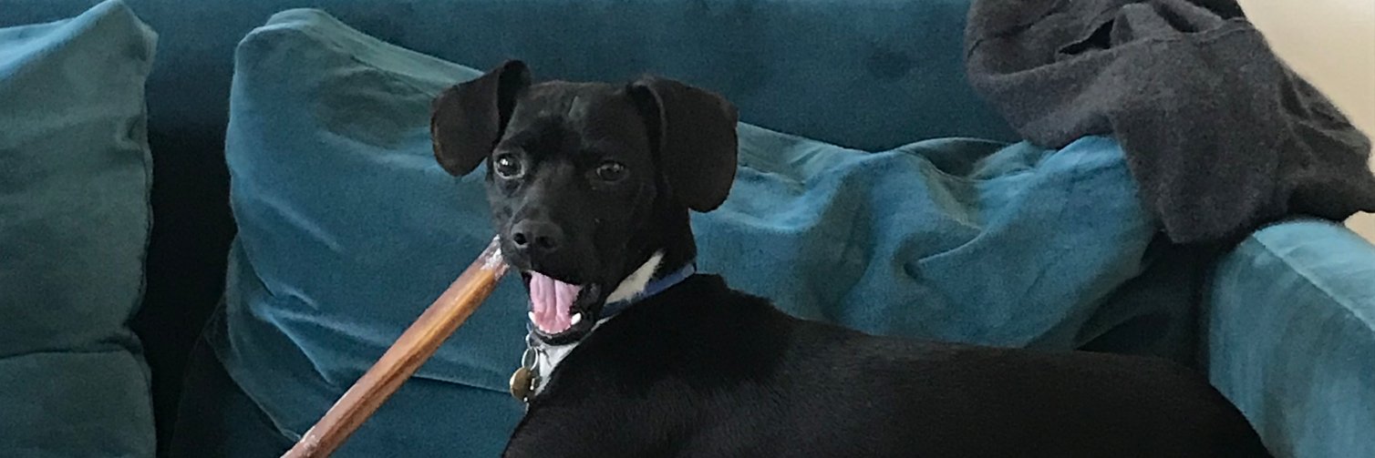 Teddy Bergman banner