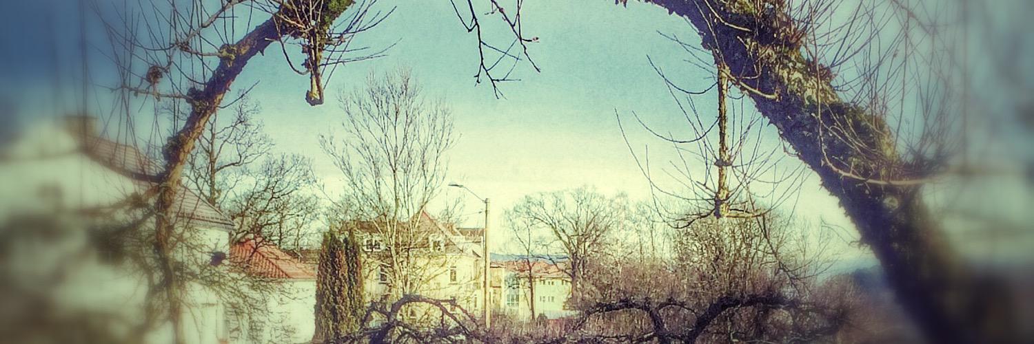 iversvip's profile banner image