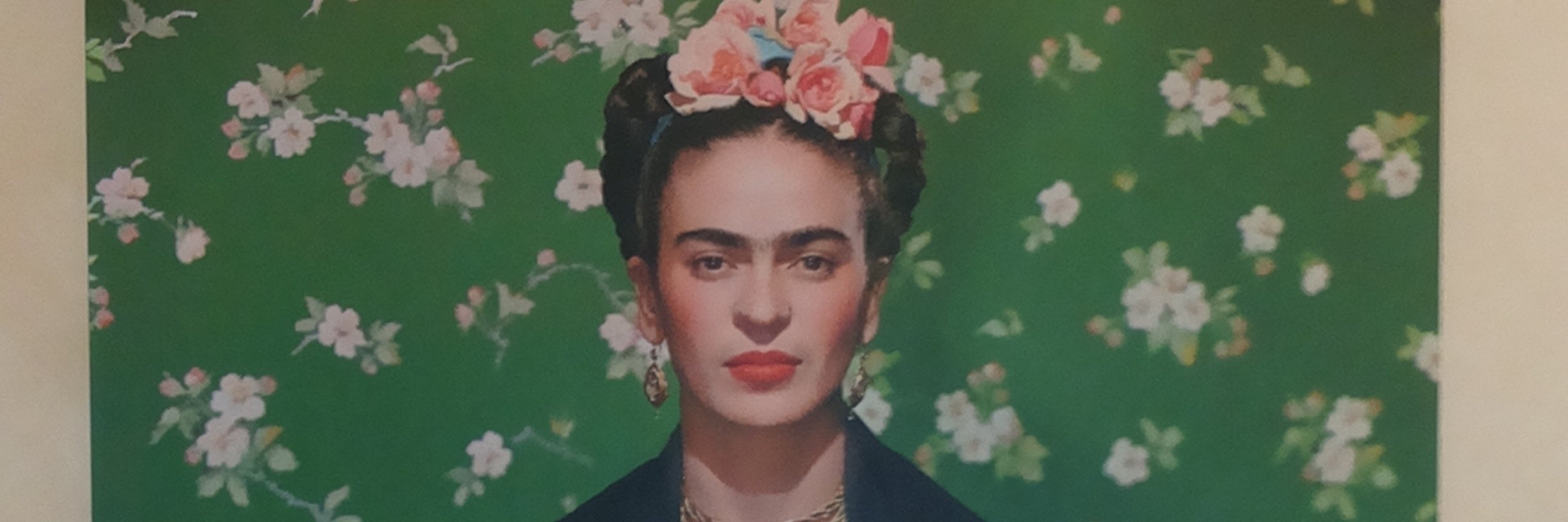 normaferrar's profile banner image