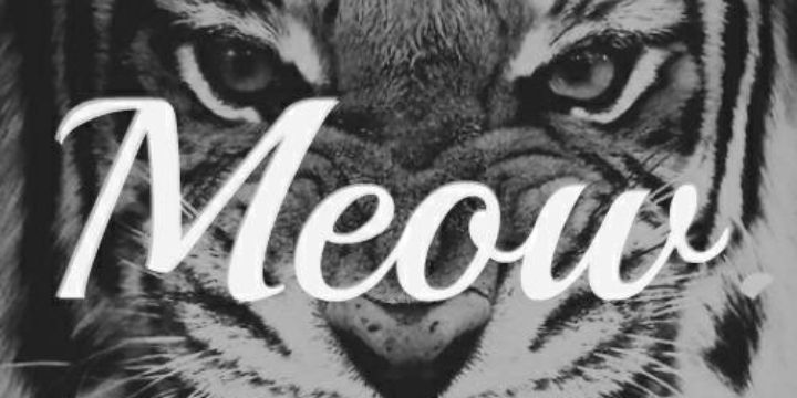 Meelaun_'s profile banner image