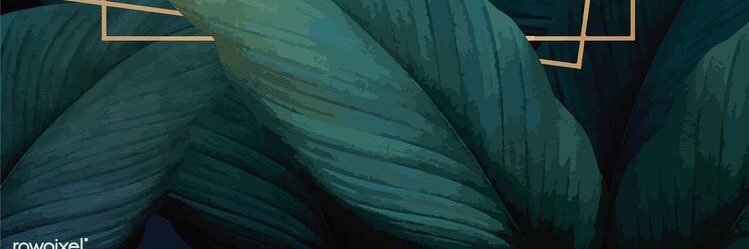 uYangah_'s profile banner image